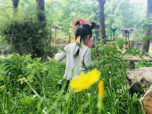 微信图片_20190428081125_副本.jpg